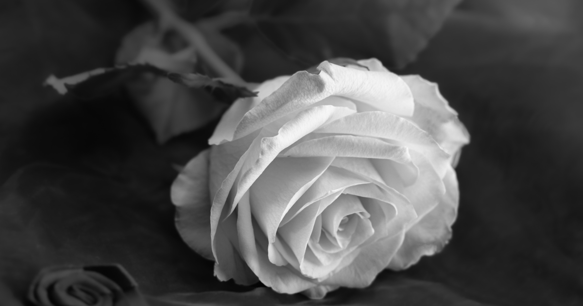 Motorcyclist Dies in Late-Night San Antonio Crash