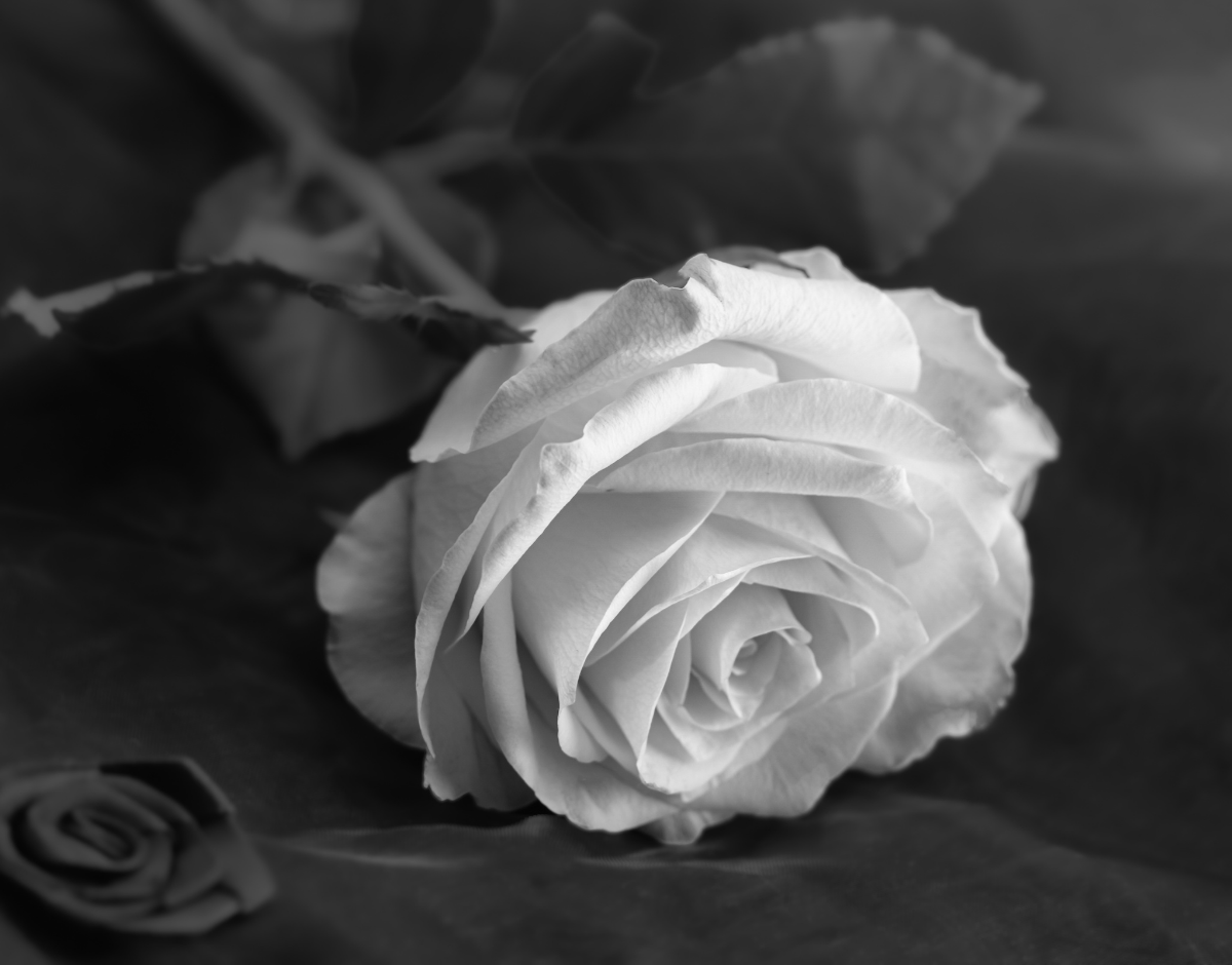 Teen Killed in Eisenhower Park Shooting Identified as One of the Shooters